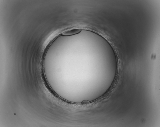 X0000114990007200911091346