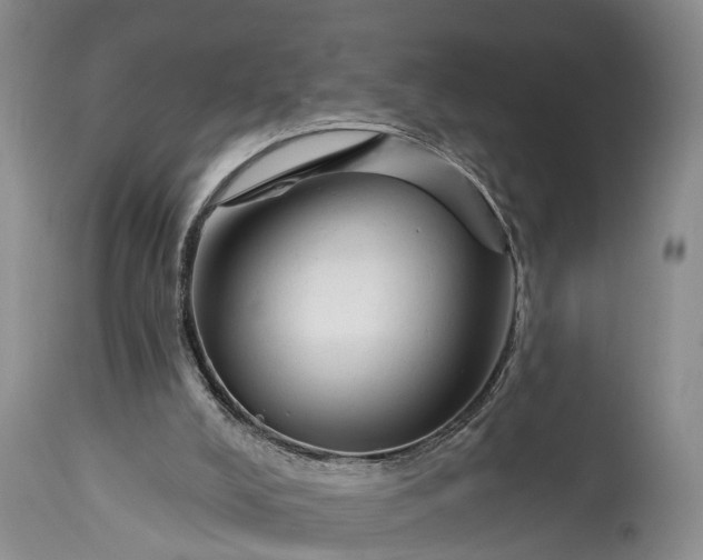 X0000114990008200911091346