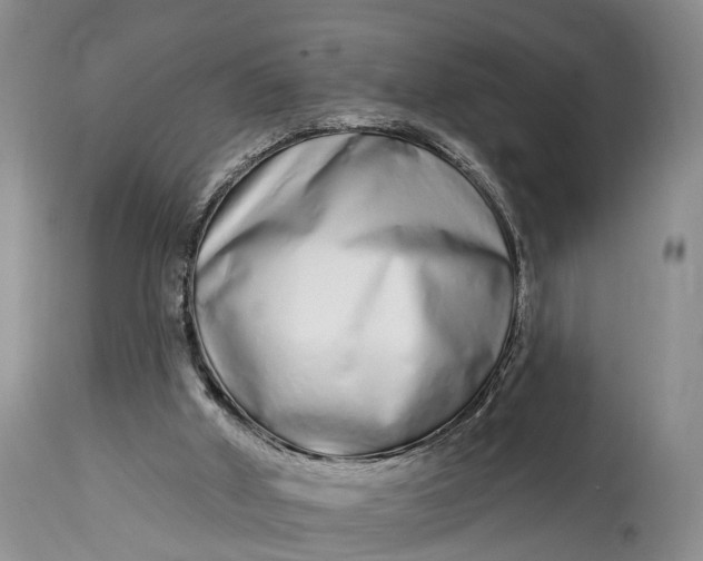 X0000114990010200911091346