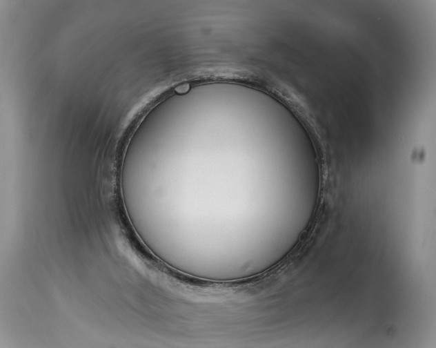 X0000114990012200911091346