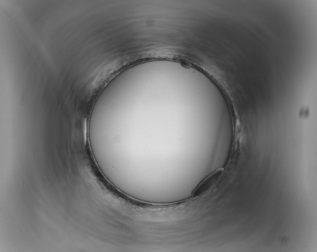 X0000114990013200911091346