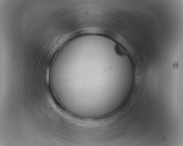 X0000114990014200911091346