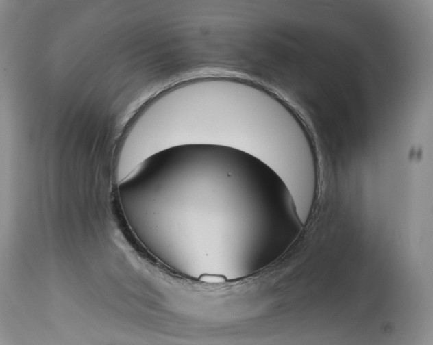 X0000114990015200911091345