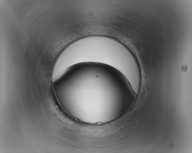 X0000114990017200911091345