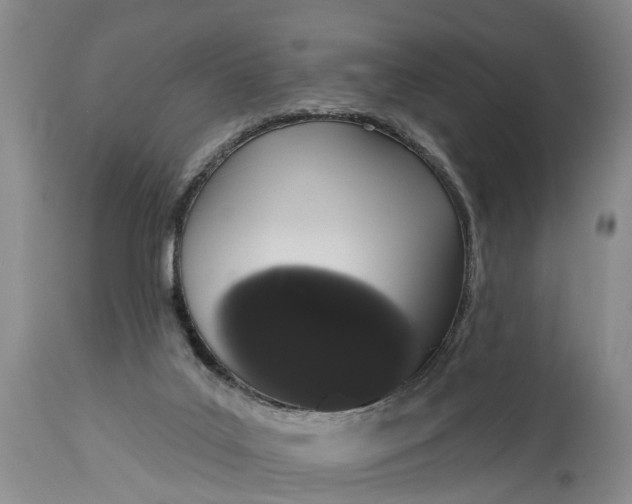 X0000114990019200911091345