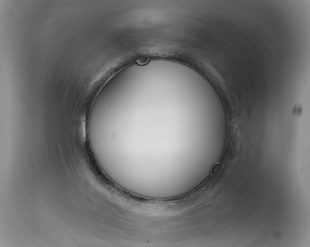 X0000114990020200911091345
