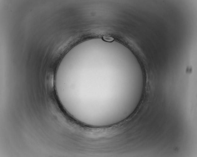 X0000114990021200911091345