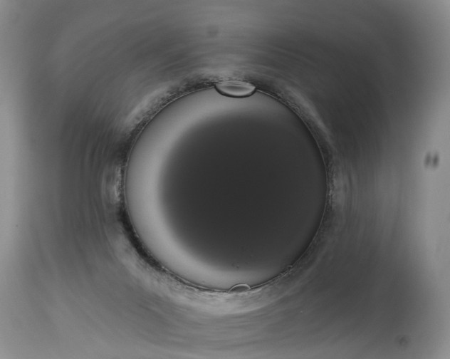 X0000114990023200911091345