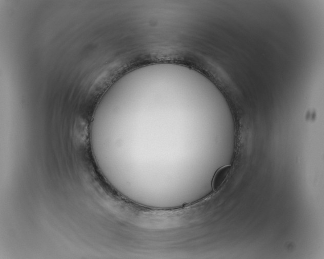 X0000114990025200911091345