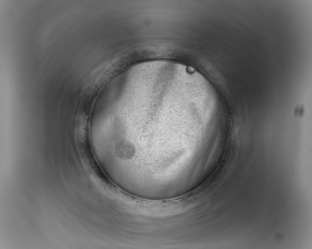 X0000114990026200911091345