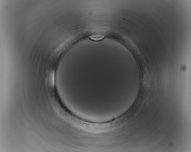 X0000114990027200911091345