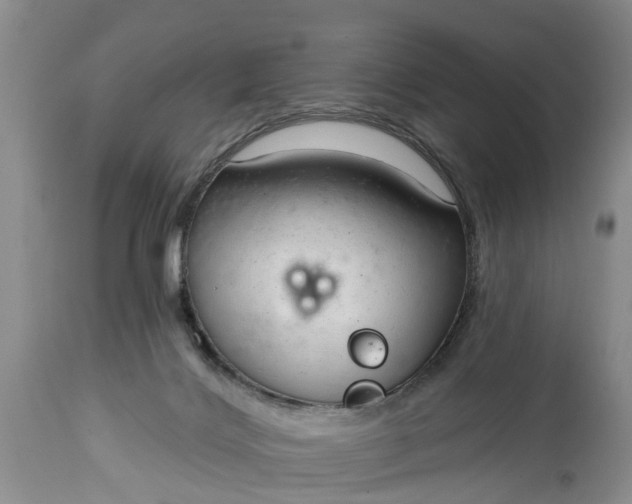 X0000114990028200911091345