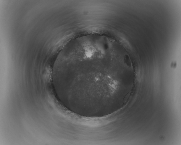 X0000114990029200911091345