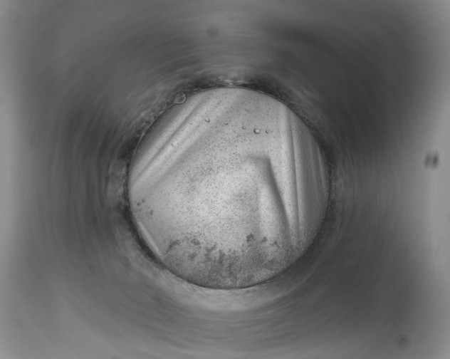 X0000114990030200911091345