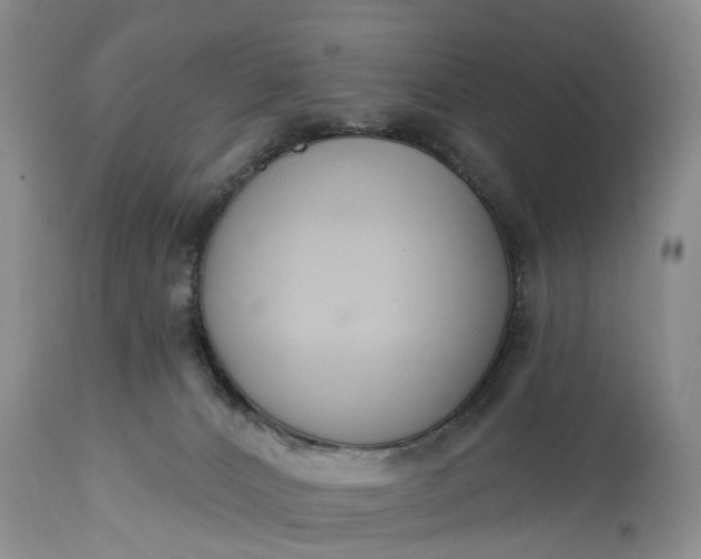 X0000114990032200911091345