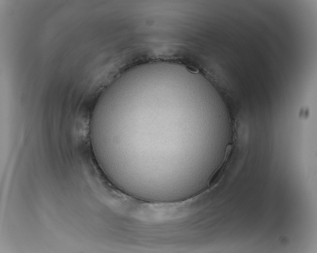 X0000114990033200911091345