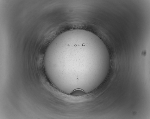X0000114990034200911091345