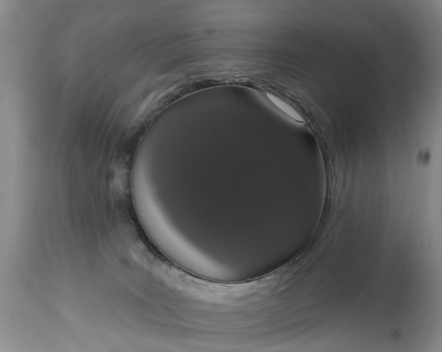 X0000114990035200911091345