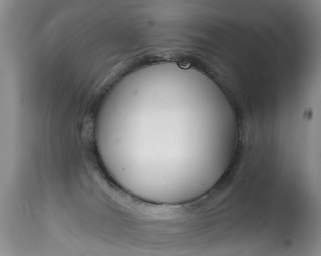 X0000114990036200911091345