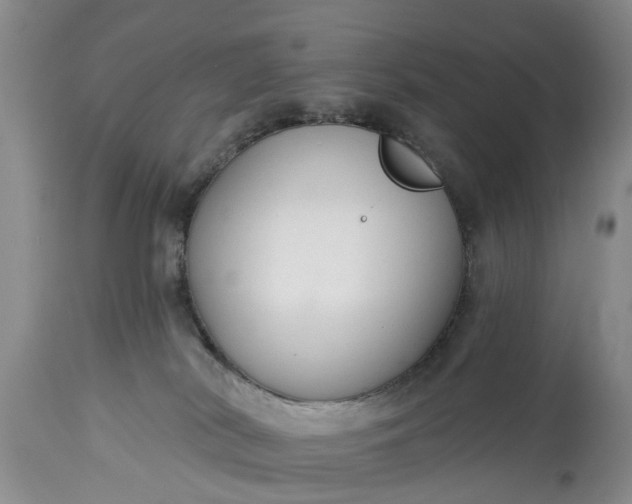 X0000114990038200911091345