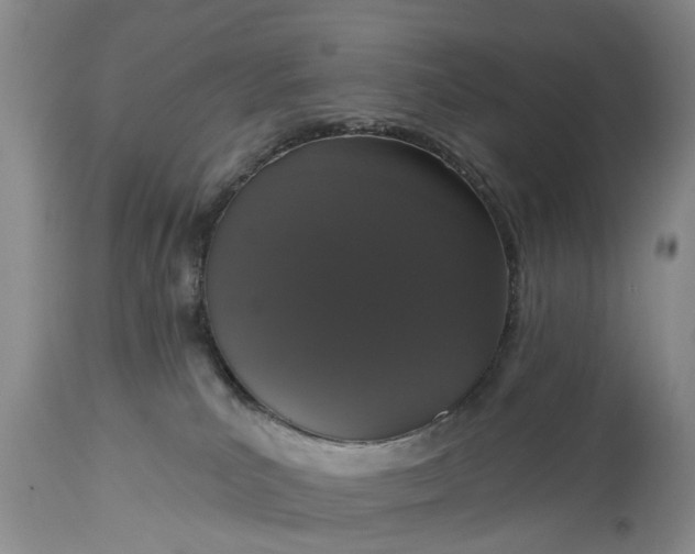 X0000114990039200911091345
