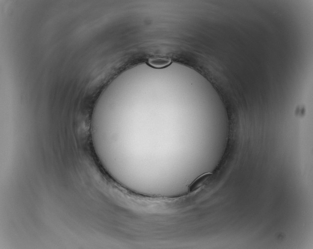 X0000114990040200911091345