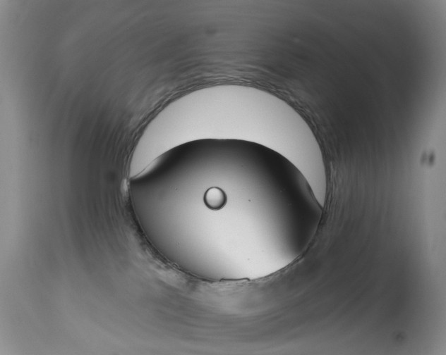X0000114990041200911091345