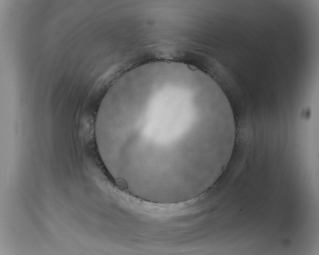 X0000114990043200911091345