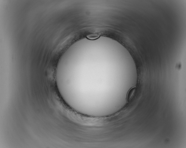 X0000114990044200911091345