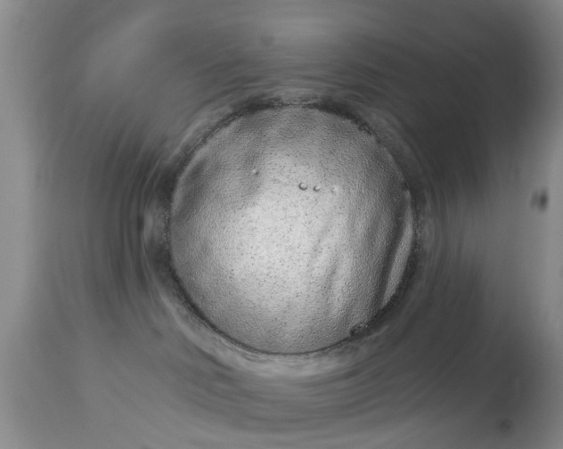 X0000114990046200911091345