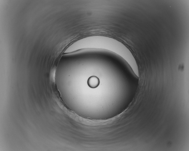 X0000114990047200911091345