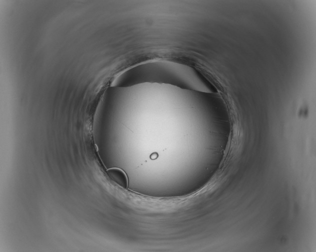X0000114990048200911091345
