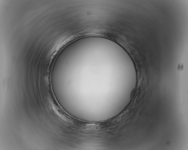 X0000114990050200911091344