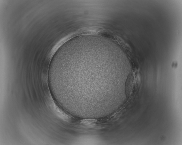 X0000114990051200911091344