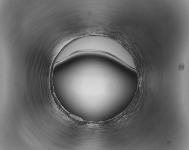 X0000114990052200911091344