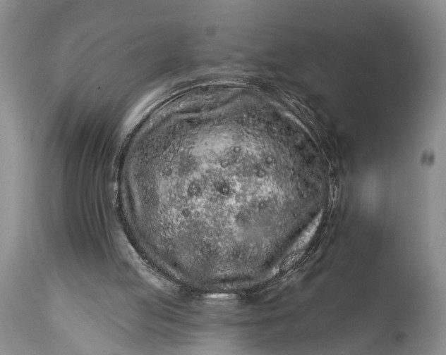 X0000114990053200911091344