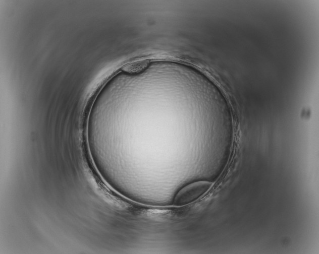 X0000114990055200911091344