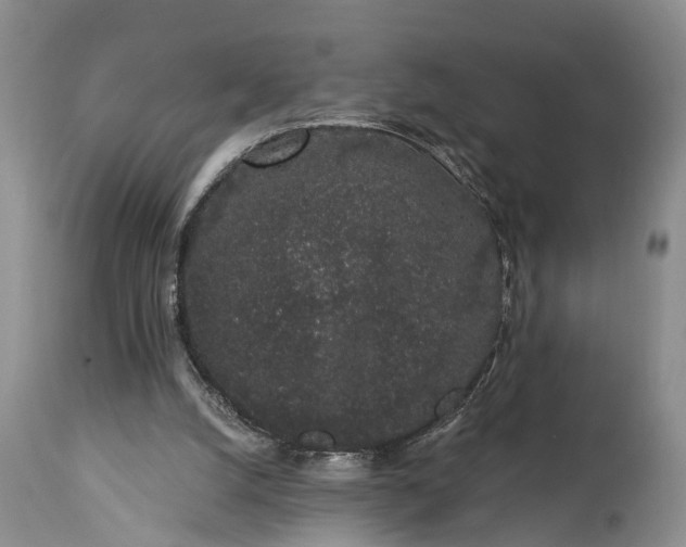 X0000114990056200911091344