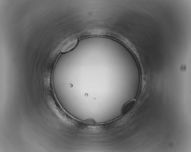 X0000114990057200911091344
