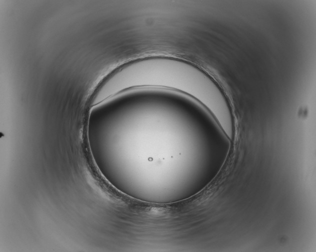 X0000114990060200911091344