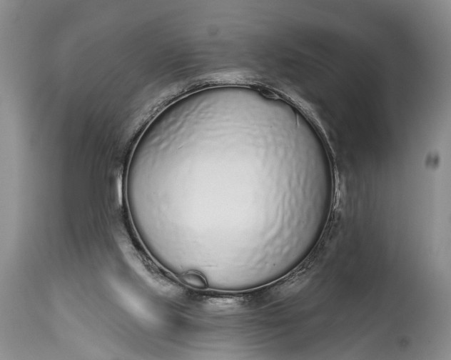X0000114990061200911091344