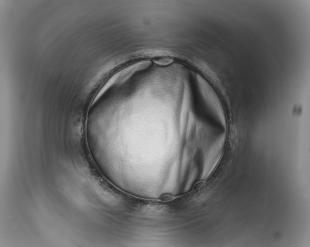 X0000114990063200911091344