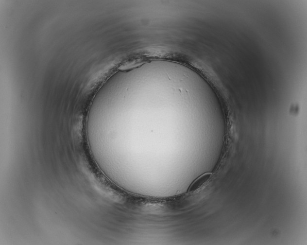 X0000114990066200911091345