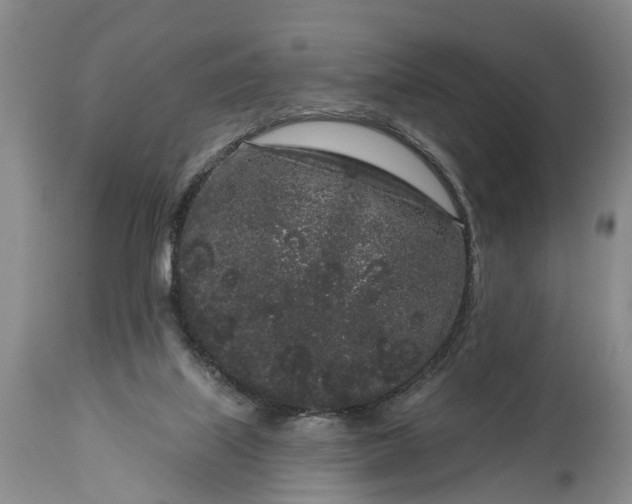 X0000114990067200911091345