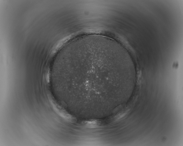 X0000114990068200911091345