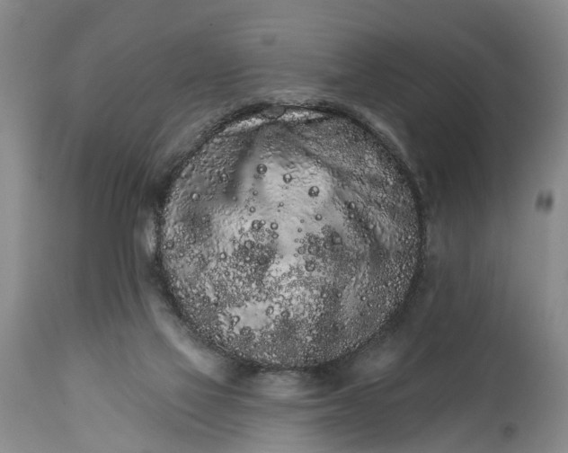 X0000114990069200911091345