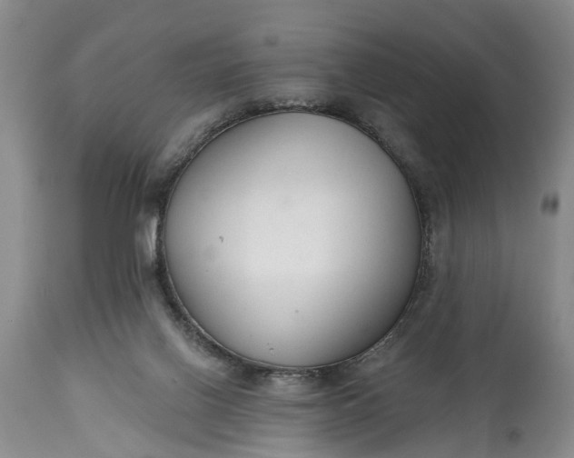 X0000114990070200911091345