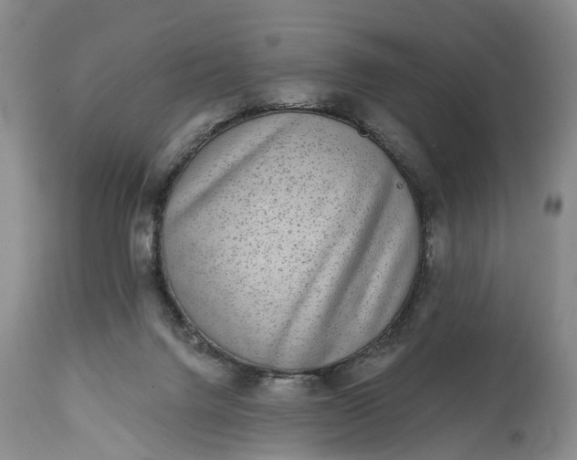X0000114990072200911091345