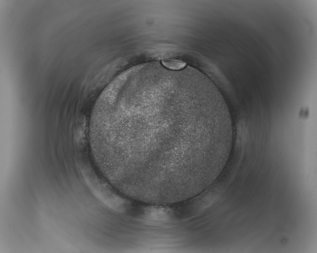 X0000114990073200911091345