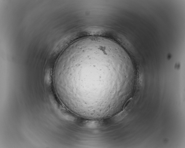 X0000114990074200911091345